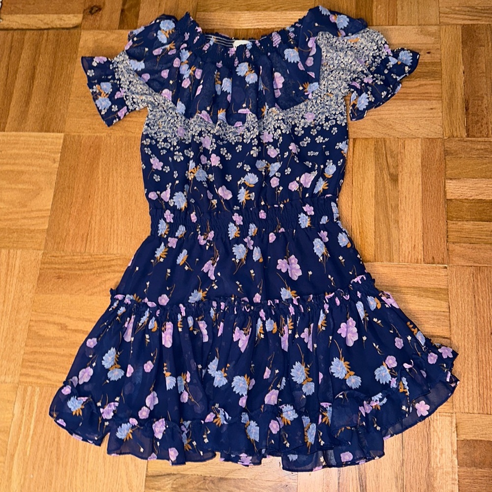 Misa Los Angeles chiffon dress